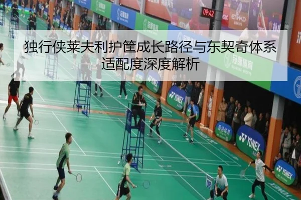 独行侠莱夫利护筐成长路径与东契奇体系适配度深度解析